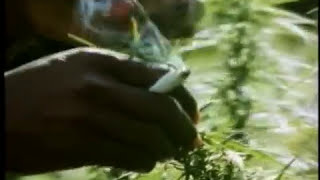 Peter Tosh - Legalize It & Buk-in-ham Palace