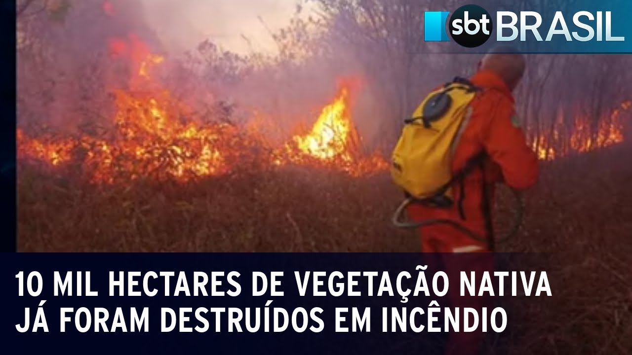 Incêndio já dura 13 dias no sul do Piauí e ameaça maior reserva de Caatinga | SBT Brasil (25/08/23)