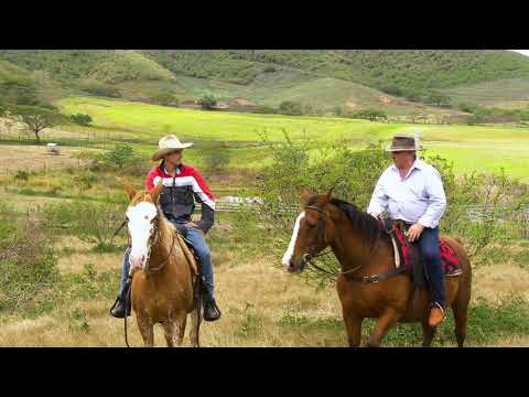 pour-que-nos-terres-continuent-de-tourner-:-agriculture.nc