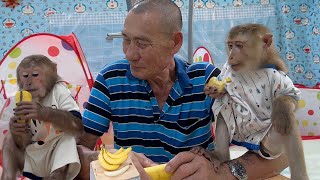 Monkey Sam & Asher don't like eating bananas