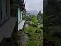 The beauty of rural nature when it rains
