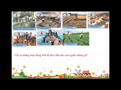 TUẦN 15 - TNXH 3 - HOẠT ĐỘNG NÔNG NGHIỆP