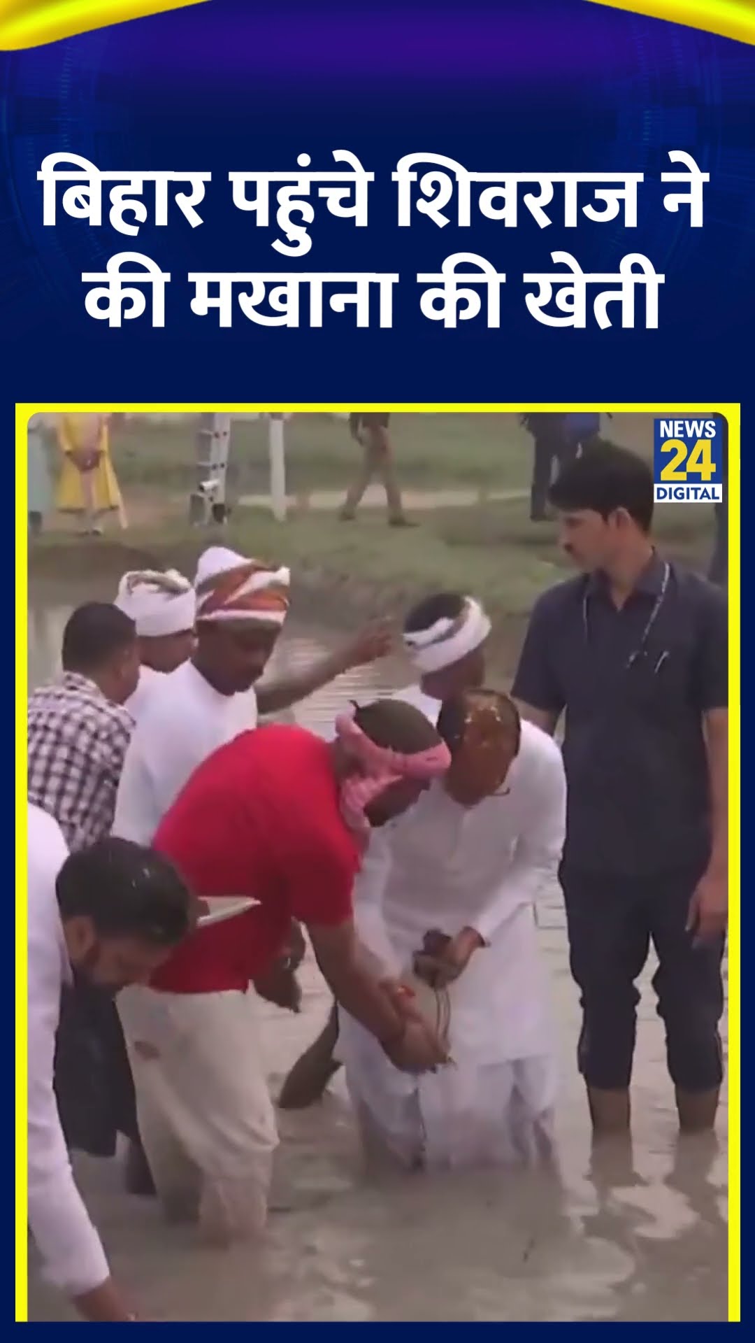 Bihar पहुंचें Shivraj Singh Chouhan ने मखाना की खेती की #shivrajsinghchouhan #biharpolitics #shorts