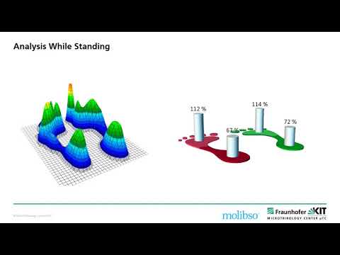 Gait Analysis and Skiing - Ganganalyse und Skifahren