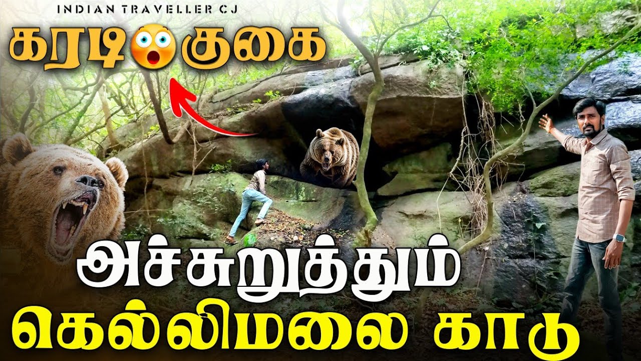 அச்சுறுத்தும் கொல்லிமலை காடு 😱 கரடி குகை | Bear Cave Kolli Hills | Indian Traveller CJ 