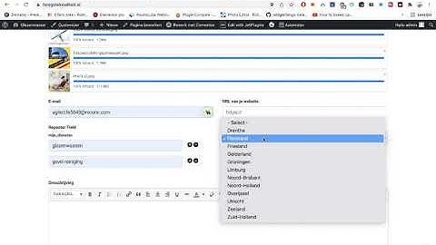 JetEngine: Grid Gallery and Slider Gallery Options of Dynamic Field Widget. FLUENTFORM ACF