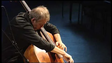 Vanhal Double Bass Concerto in D Major // Rinat Ibragimov, double bass