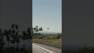 Airplane Crop Duster Looked Like it Was Going to Crash