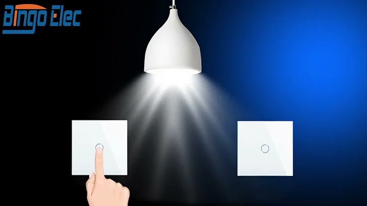 BINGOELEC2way dimmer