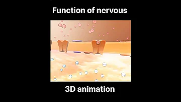 3D Animation Function Of Nervous System Science Animation Viral Trending Shorts Pankaj 