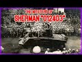 The Mystery of Sherman “012403” | Cursed by Design