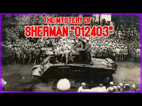 The Mystery of Sherman “012403” | Cursed by Design