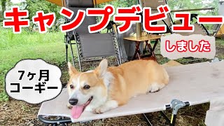 人、犬好きコーギーが刺激の多い初キャンプにチャレンジした結果は...笑前編