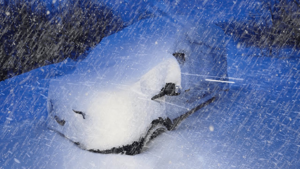 Winter's Blizzard & Wind Sound for Sleeping | Snow Ambience | Howling ...