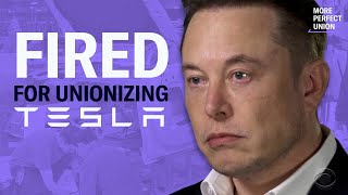 I Was Illegally Fired By Elon Musk For Trying to Unionize Tesla
