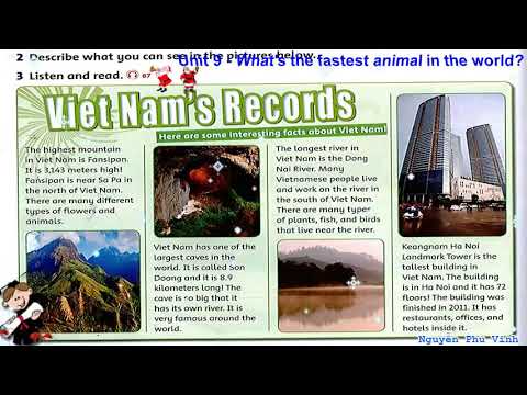 Unit 9 What s the fastest animal in the world - Tuần 23