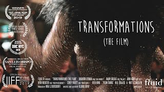 Transformations (The Film)