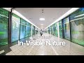 DDP &#39;BtheB&#39;ㅣIn-Visible Nature