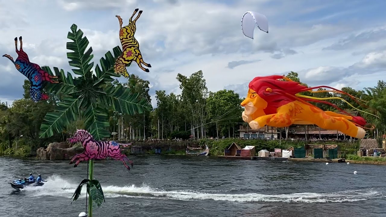 Kite Tails at Disney's Animal Kingdom | Kites Crash Land in the Stands?