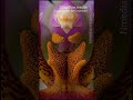 Orchid Pollinium Smooth Shine | Pollen | Microscopic - Vertical Stock Footage