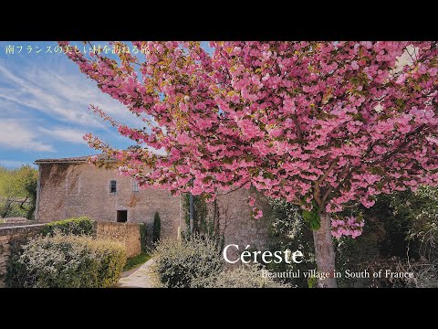 南フランスの美しい田舎・セレスト / 南フランスの村 / 南仏 / 可愛い猫 / ランチ / Beautiful village in South of France • Céreste