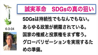 誠実革命 「SDGsの真の狙い」