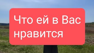 📌Что Ей В Вас Нравится 🤔#Тародлямужчин#Таролог#Таро