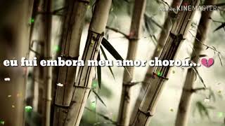 Eu Fui Embora Meu Amor Chorou