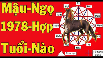 Tuổi Mậu Ngọ Sinh Năm 1978 Hợp Với Những Tuổi Nào Về Làm Ăn Và Hôn Nhân