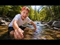 Going Crayfishing! My First Time Catching a Crayfish!