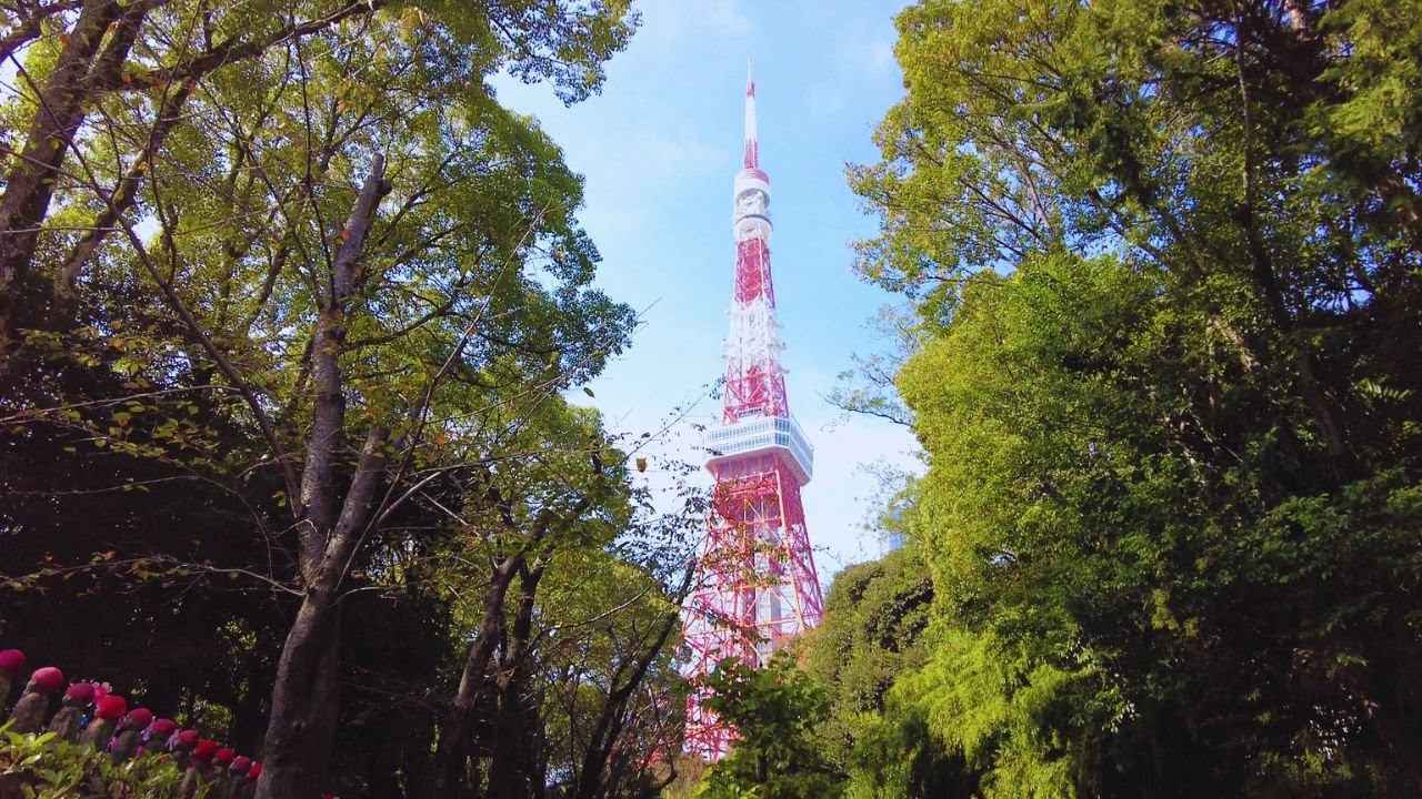 Minato City Day Walk Towards Tokyo Tower via Zojo-ji Temple & Momiji Waterfall - Japan Walking Tour