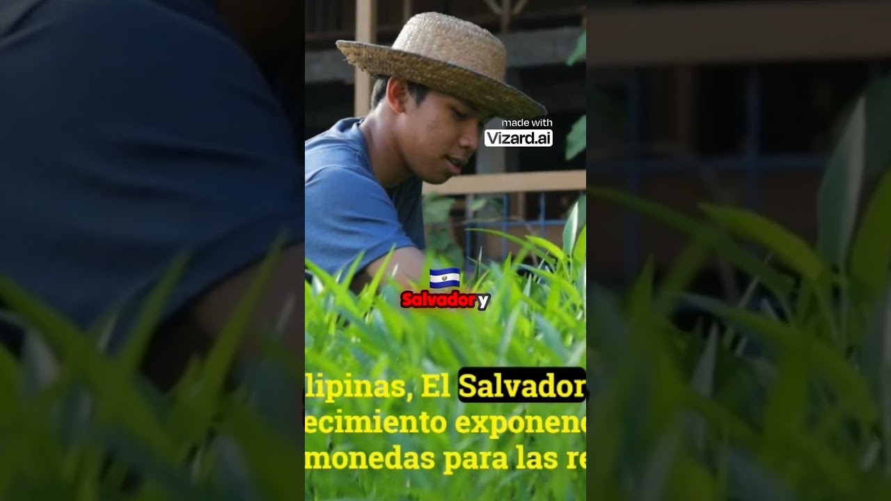 ¿Por qué las criptomonedas son la solución para las remesas