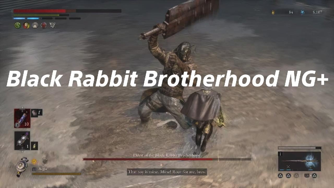 Lies of P - Black Rabbit Brotherhood NG+ Fight - YouTube