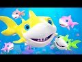 Baby Shark Song + More Nursery Rhymes & Music for Kids | Little Treehouse