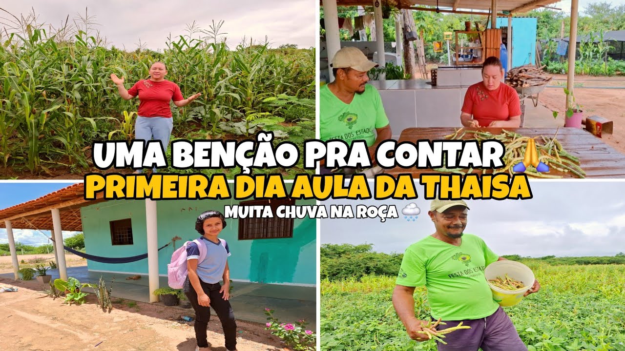 UMA BENÇÃO 🙏 PRIMEIRA COLHEITA DO NOSSO FEIJÃO CHUVA NA ROÇA 🌨 PRIMEIRO DIA Dê aula DA THAISA  2026 