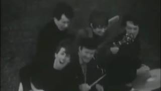 Watch Hollies Ive Got A Way Of My Own video