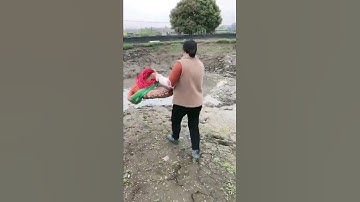 throw net | fishing net | cast net |