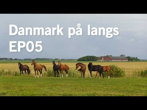 Danmark på langs EP05 || Gerndarmstien, granica z Niemcami i bagna Półwyspu Jutlandzkiego