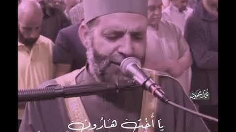 تلاوه مؤثرة جداً لسوره (مريم) الشيخ حسن صالح||حالات واتس اب دينيه إنستغرام||  hassan saleh