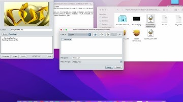 Filebot Patching MacOS How to