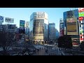 2010年代風・ダンス音楽 🌞 2010s-style Dance Music EDM「Shibuya Center-gai Street」 Tokyo Walking 渋谷センター街の歌 女性 AI