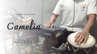 Camelia - Irwansyah (Cover Kendang)