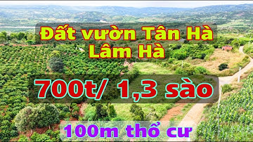 chỉ 700 triệu sở hữu lô đất 1300m2 sẵn 100m thổ cư, view sông núi thiên nhiên xã Tân Hà Lâm Hà