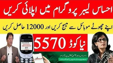 Ehsaas labour program online registration|ehsaas labour program code 2020|ehsaas labour program new