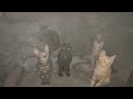 【癒し】玄関に毎日やってくる外猫ちゃんの保護に向けて...!