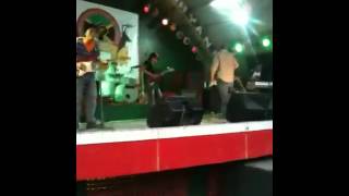 Reggae   Blacktea