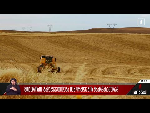 მთავრობის გადაწყვეტილება მეხორბლეების მხარდასაჭერად