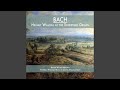 Miniature de la vidéo de la chanson Triosonate Nr. 1 Es-Dur, Bwv 525: Ii. Adagio