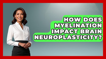 How Does Myelination Impact Brain Neuroplasticity? - Brain Development Hub