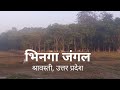 Bhinga Forest And Wetland Shravasti Bhinga Forest And Wetland Shravasti